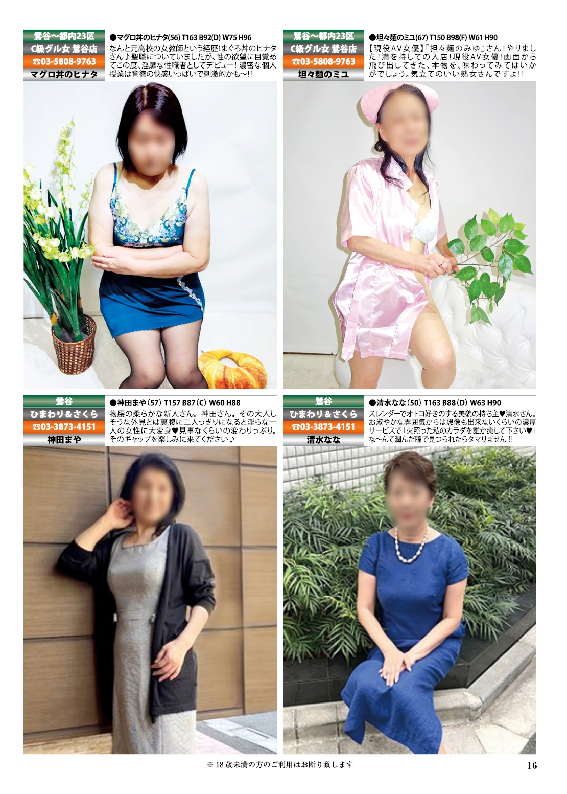  16ページ目