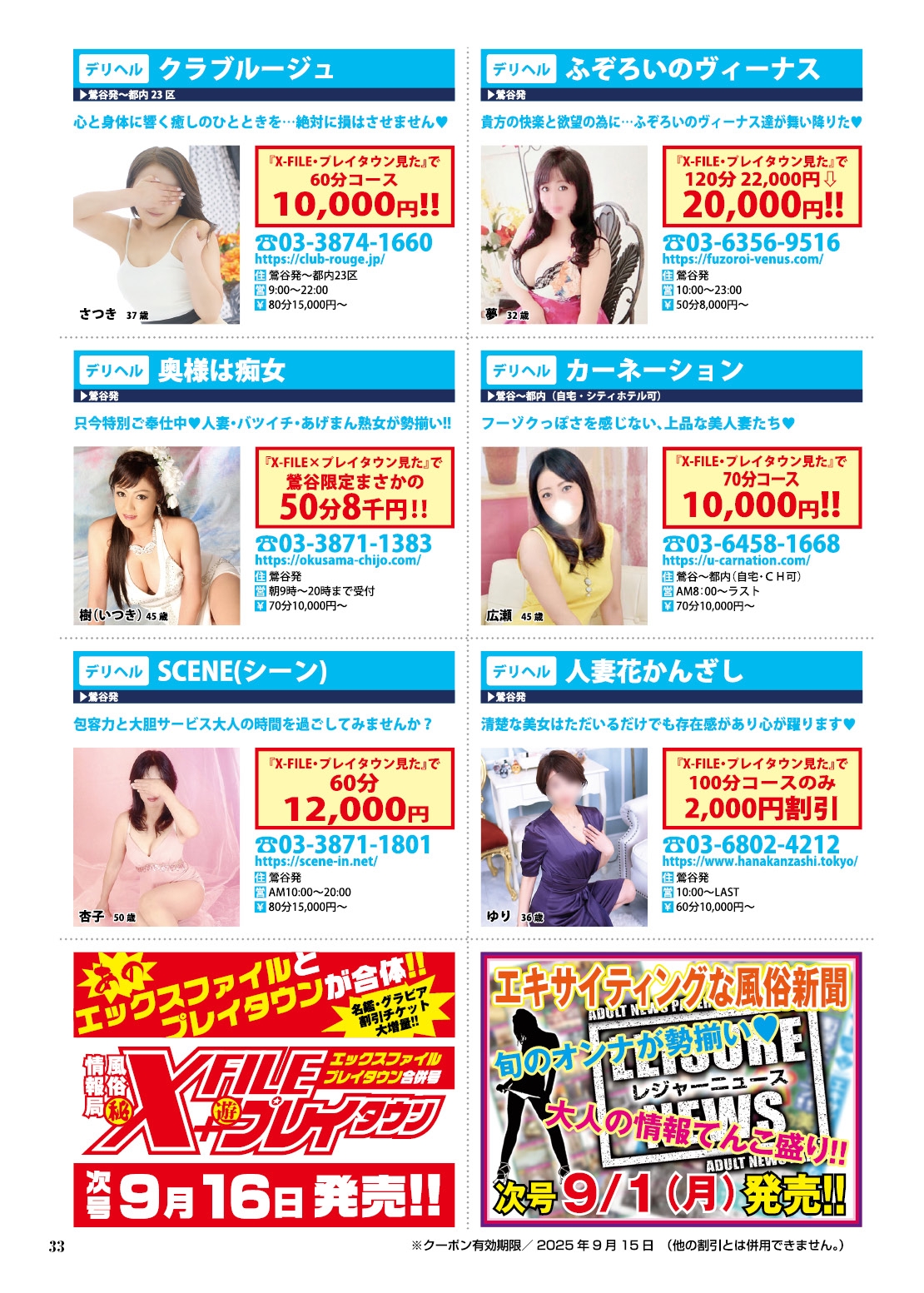  33ページ目