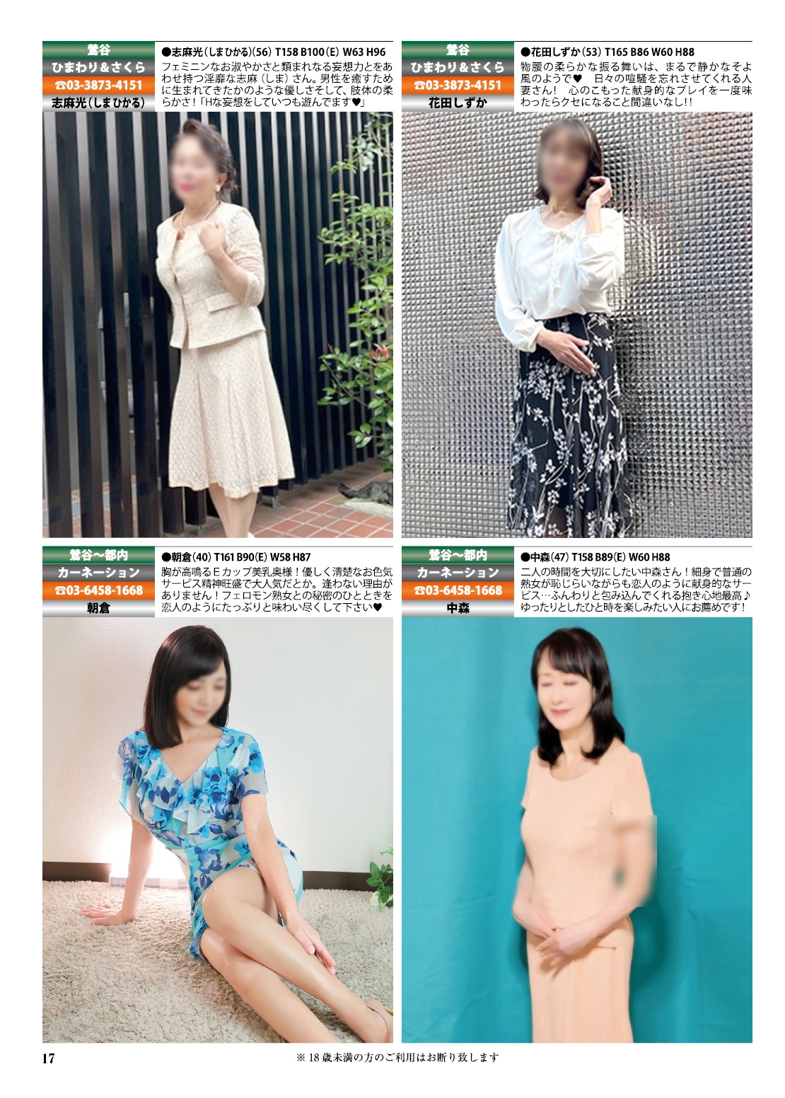  17ページ目