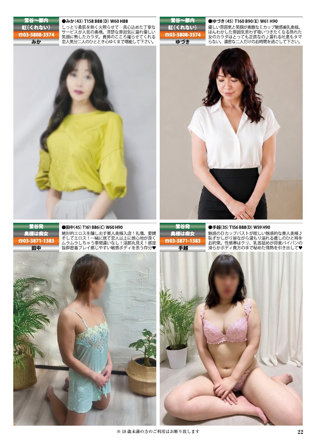  22ページ目